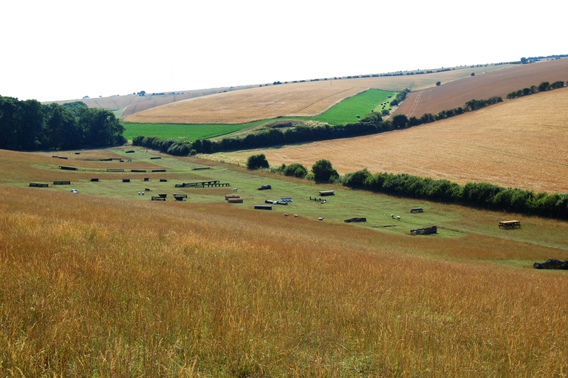 Canter hallington Cross Country Course