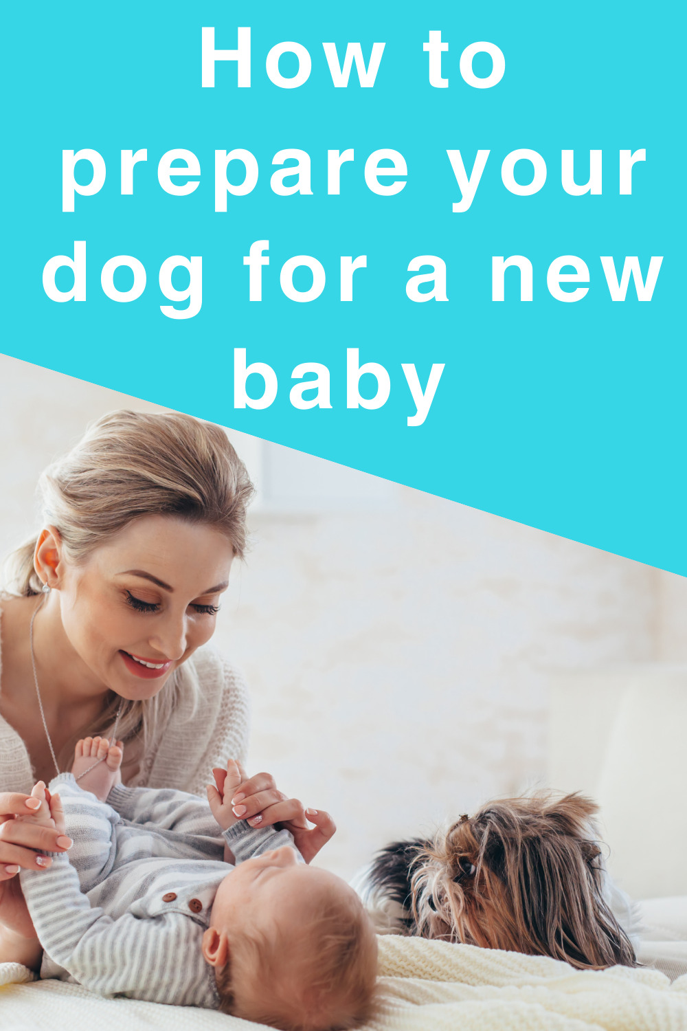 how to prepare your dog for a new baby